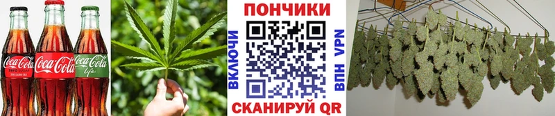 Canna-Cookies марихуана  Алексин 