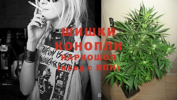 трава Абаза