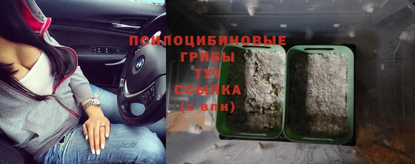 ECSTASY Абдулино