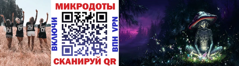 Галлюциногенные грибы Psilocybe  Алексин 