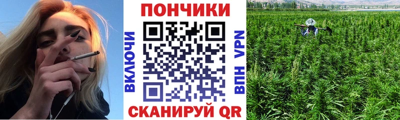 Бошки марихуана SATIVA & INDICA  сколько стоит  Алексин 